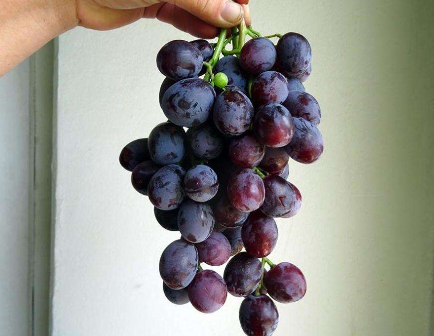 Гроздь винограда 